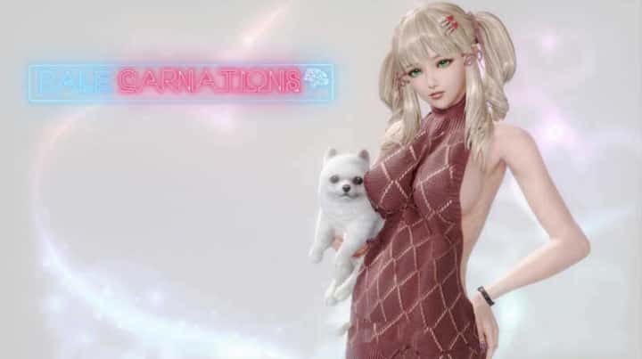 康乃馨俱乐部封面